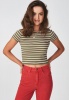 Women's Supré Zoey Midi Length Rib Tee - Khaki Stripe Photo