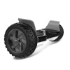 SmartMove 8.5" Offroad Hoverboard With Bluetooth Photo