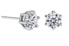 Stainless Steel 6mm - 6 Claw Crystal Earrings Photo