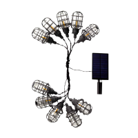 Retro Inspired 10 Bulb Solar Cage String Lights