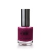 Chic - Perfect Long Lasting Nail Polish - NP 003 Photo