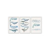 Composite Framed Canvas 3 Piece 65 x 45 Blue Whales Photo