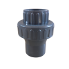 Technospa 50mm Non Return Valve Photo