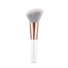 essence Blush Brush Photo