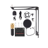 Studio Condenser Microphone with V8 Live sound - black & gold Photo