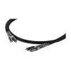 Pioneer Dual RCA-Dual RCA 2M Photo