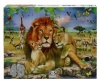 RGS Group Lion Pride 48 piece jigsaw puzzle Photo