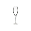 Bar Home Champagne Glass Percy - 160ml - Pack of 6 Photo