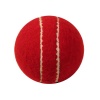 SNS Felt Cricket Ball- Box of 6 Photo