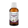 Prostate Ease - A remedy for BPH enlarged prostate & prostatitis Photo