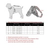 Dog Harness & Lead Camo M Photo