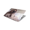 Laptop Skin/Sticker - Cute Pug Photo