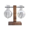 Plant Vase Glass Bottle Clear Two Pots Photo