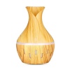 Mini USB Humidifier Photo