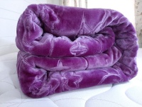Queen Size Thick Blanket One Ply Warm Soft