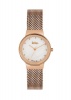 Lee Cooper Ladies Gold Mesh Dress MOP Dial - LC06472.4200 Photo