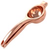 Citrus Squeezer Lemon & Lime Copper Photo