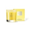Molton Brown Orange & Bergamot Single Wick Candle Photo