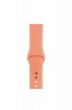 Apple Avatro watch Strap Silicon Peach 38/40mm Photo