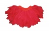 Girl tutu - handmade red Photo