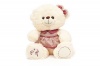 It's A Girl Teddy Bear Photo