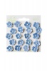 Bloom Sweetheart Blossoms - Light Blue Photo