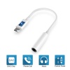 Happy Dayz Type-C to Aux 3.5mm Connector Photo