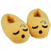 Adults Emoji Slippers - Sleepy - 1 Size Fits All up to UK8) Photo