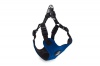 Dogs Life X Dog Neoprene Soft Harness Yale Blue Photo