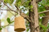 Birdseed Bells Pack of 6 Photo