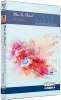How To Paint Colour And Light In Watercolour Photo