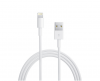iPhone USB Lightning Cable- Single Photo