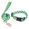Modern Yellow and Turquoise Dog Collar and Leash Set Photo