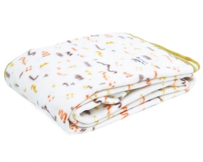 Campground Single Layer Camping Blanket