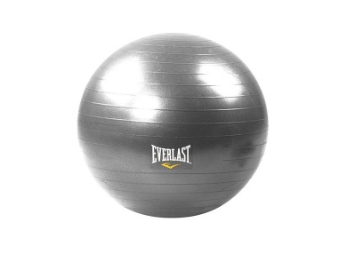 Photo of Everlast Anti-Burst Gym Ball - 65cm