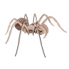 Wow We - 3D Wooden Models - 3D Puzzles - Insect Spider Photo
