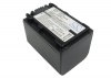Sony NP-FV70/H70/P70 Battery Photo