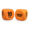 Phoenix Fitness Vinyl Routine Exercise Dice to Switch Up Your Training Photo