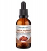 Reishi - Premium Medical Mushroom Photo