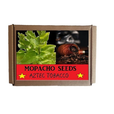Photo of Mopacho Tobacco seeds Nicotiana rustica makhorka Brazzilian Tobacco