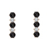 Civetta Spark Vertical Bar Studs-Swarovski Silver Night Crystal Rosegold Photo
