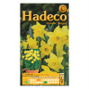 Hadeco Daffodil - Flower Carpet - 2 x 7 bulbs Photo