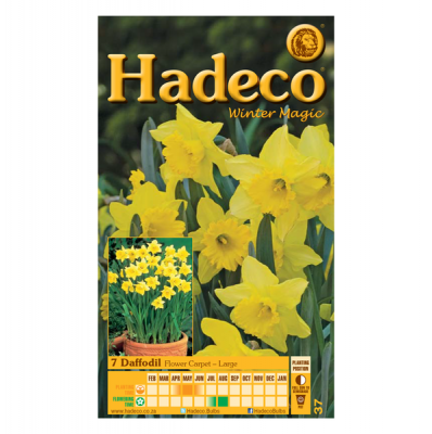 Photo of Hadeco Daffodil - Flower Carpet - 2 x 7 bulbs