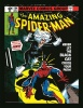 Marvel Spider-Man - Black Cat Photo