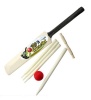 Prima Junior Cricket Set Size 3 Photo