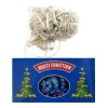 Fairy Lights - 100 Multifunction Multicoloured LED Lights Photo