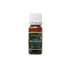 Organic Tea Tree Oil by Oaklands Farm - 10ml Photo