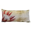 Print with Passion Classic Protea Scatter on Velvet - 60cm x 30cm - Double Sided Photo