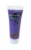 Crazy Crafts Acrylic Paint - Purple Photo