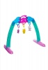 Baby Play Gym Photo